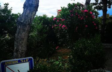 Family Apartments K&M - Photo 18