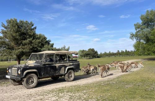 Safarilodge am Bärwalder See - Foto 14