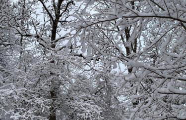 Chalet la Cabane d'Ernestine, petit-déjeuner inclus - Foto 59