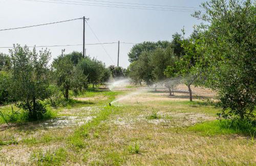 A wonderful relaxing place. Nice view. Romantic sunset - Foto 40