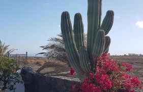 Villa RoMa Lanzarote - Foto 29