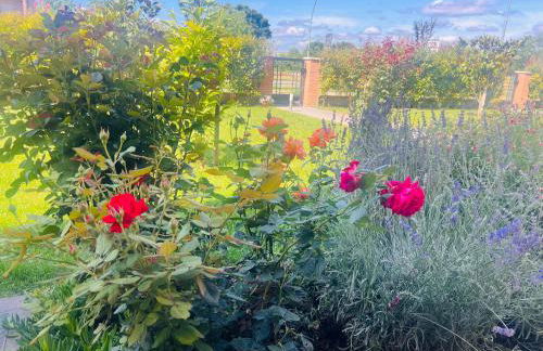 Casa delle More - Foto 14