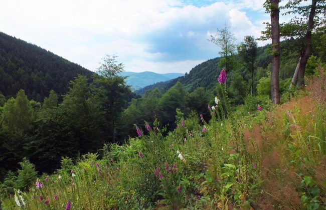 Comfy Holiday Home near Forest in Medenec - Foto 30