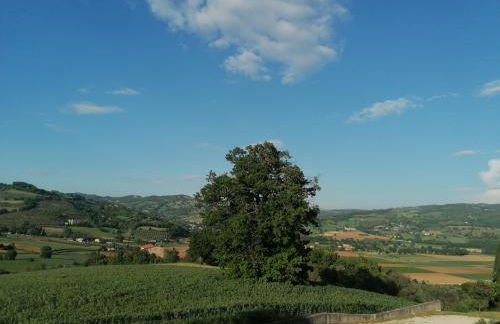 Villa ILIRIA - Foto 1