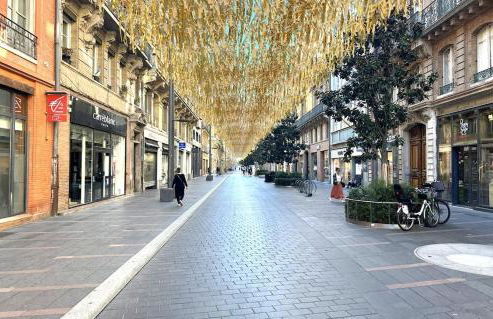 CHEZ CLAIRE 5 - Place Capitole122m2, Jacuzzi, Ciné - Photo 21