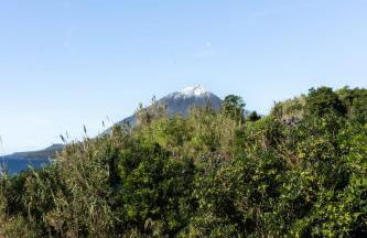 Picos House - Photo 46