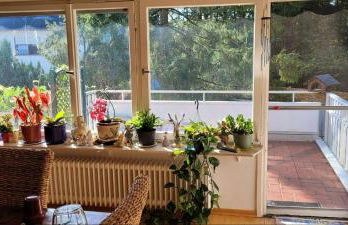 Forest Inn, retreat in nature - Foto 18