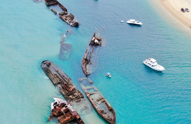 Excursión a Moreton Island - Foto 1