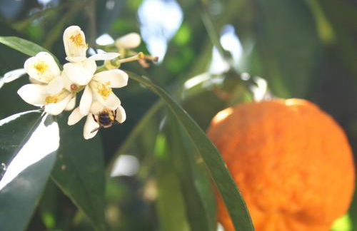 Casa Rainer - Foto 11