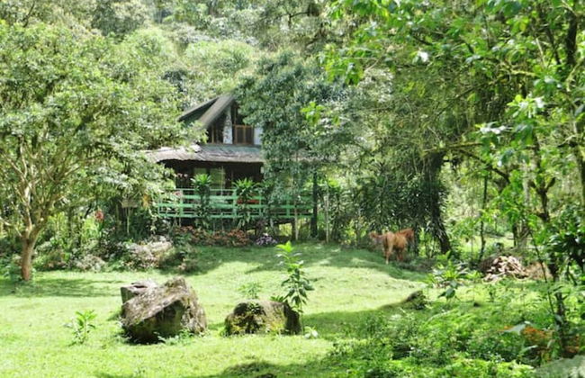 Mindo Eco chalet - Foto 35