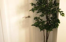 Feel-good-oasis - Foto 30