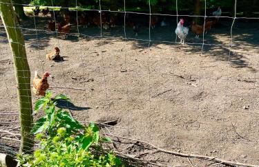 Agroturystyka nad jeziorem Silickim Ilińscy - Foto 53