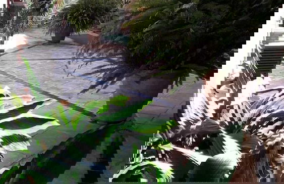 Centrico y Luminoso Apartamento - Foto 25