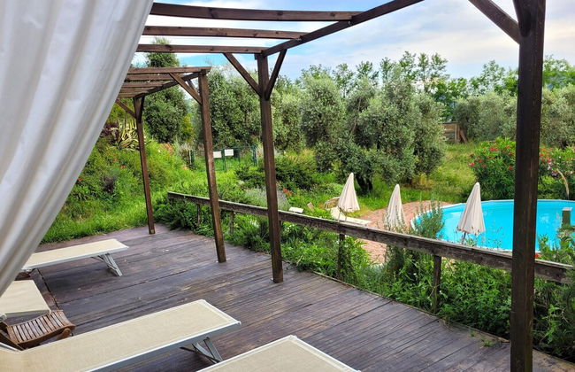 Agriturismo I Pitti - Foto 62