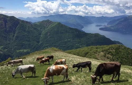 Casa Vacanze TraMonti da M&M - Casargo - Foto 70