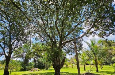 Casa do Sítio Amazônia - COP30 - Photo 6