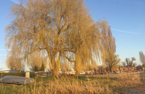 Haus Münsterblick - Foto 32