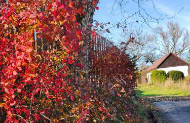 Makowy domek - Foto 41