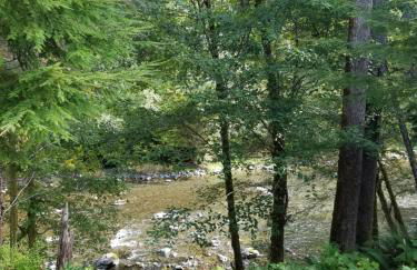 A Relaxing Getaway SolDuc 1 - Foto 37