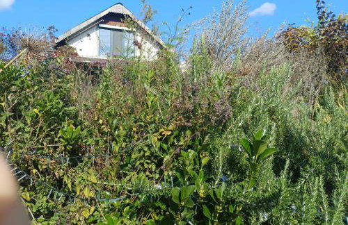 Private House with View near Samobor Ideal for Couples & Pets - Photo 34