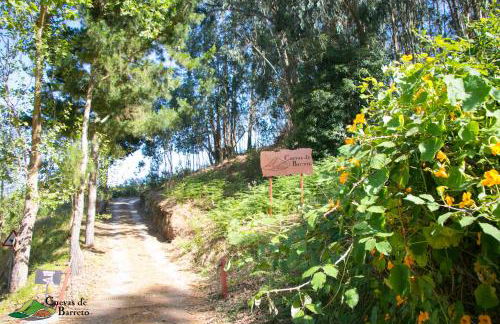 Cuevas De Barreto - Foto 10