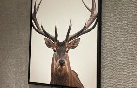 Trzy Szyszki Maniowy Domki Jezioro Czorsztyńskie Balia oraz Sauna w cenie - Photo 29