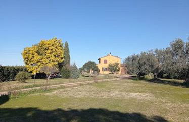 La Casina di campagna tra Cecina e Bibbona - Foto 36