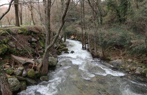 La Garzona - Foto 41