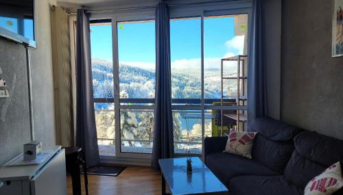 STUDIO plein sud "Les Arolles" Balcon de VILLARD DE LANS - Foto 3