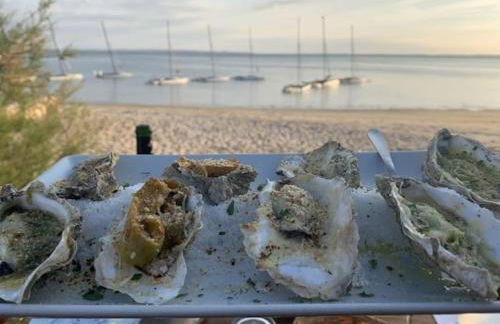 Maison l'EscaleTaussat Les Bains - Photo 35