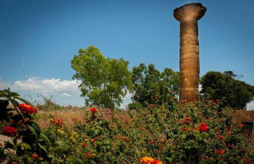 La casa di Biu - Foto 14