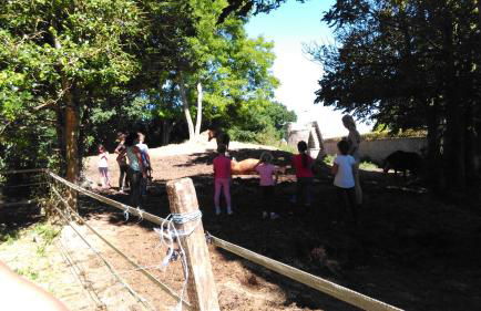 Gîte de Eric et Rose - Photo 58