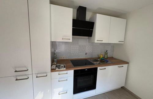 Ferienhaus nähe Stadtpark, renoviert, Businesswohnung, Monteurwohnung, Geschäftsreisendewohnung, Garten, Balkon,Parkplatz - Foto 5