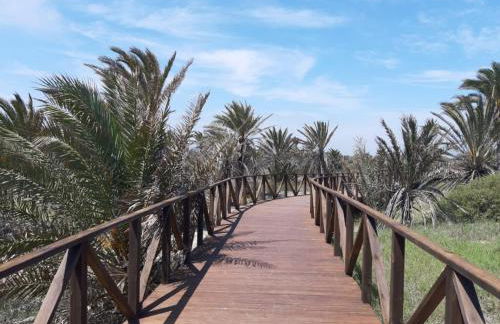 Bajo con gran terraza en Ribera de Cabanes - Photo 13