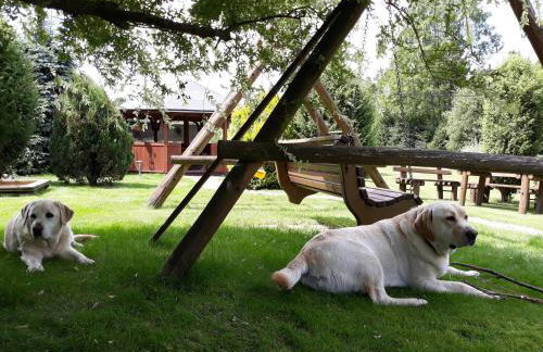 Agroturystyka Jagodowa Róża - Maria Farganus - Foto 11