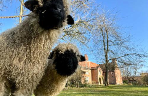 Sparrow Green Farm Cottage - Uk50110 - Foto 11