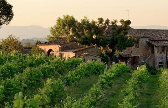 Agriturismo Antico Podere Siliano - Photo 58