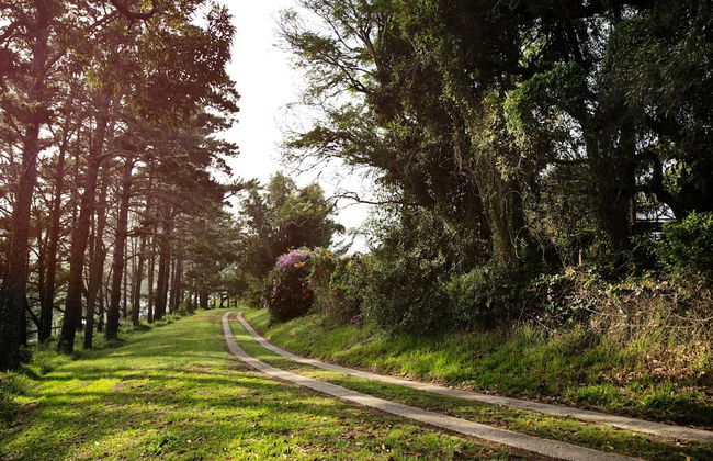 Spaciousviewsbalcony2-bedroomsen-suitenetflix - Foto 55