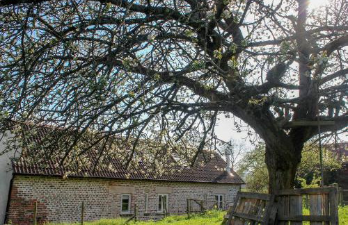 The Cider Barn - Foto 16