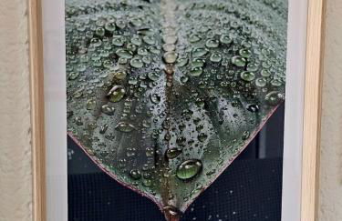 Gîte "Bornéo", avec parking securisé - Photo 11