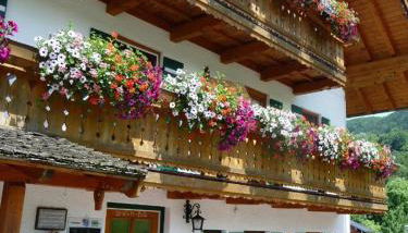 Gästehaus Pfeffererlehen - Foto 4