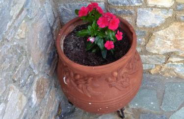 Thea Studios - Foto 20