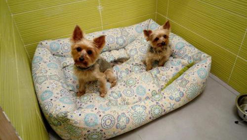 Casa Rural "El Paseo del libro" - Foto 2