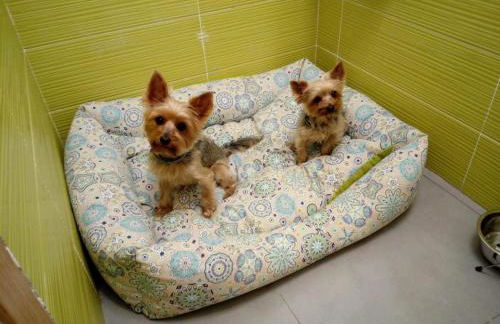 Casa Rural "El Paseo del libro" - Foto 2