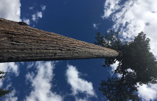 The Great Escape Secluded with Hot Tub - Foto 40