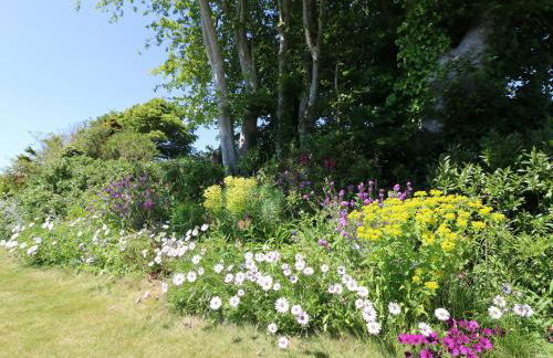 Ladylands Cottage - Photo 36