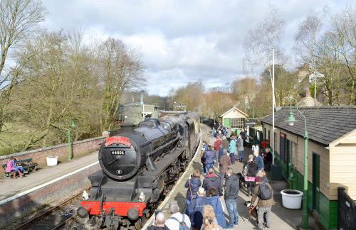 Pasture Barn - Cottage - Photo 9