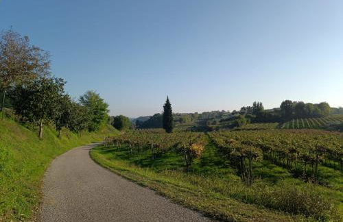 Residenza Gli Agrumi del Garda - Foto 45