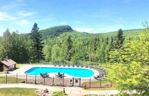 Ski in Ski out 1 Bed plus Loft BEST VIEWS IN LUTSEN - Foto 50