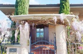 Serendipity - Photo 6